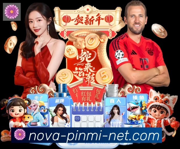 多媒体互动体验